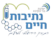 ישיבת בני עקיבא נתיבות חיים בפסגת זאב